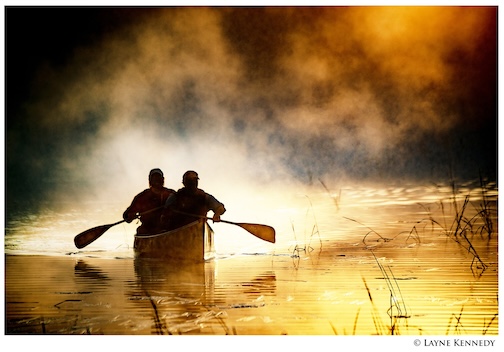 Into the Sun by Layne Kennedy.