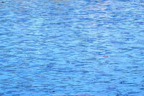 Lake affect by Bryan Hansel.