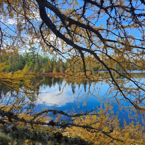 Last visit before the snow flies by Staci Lola.