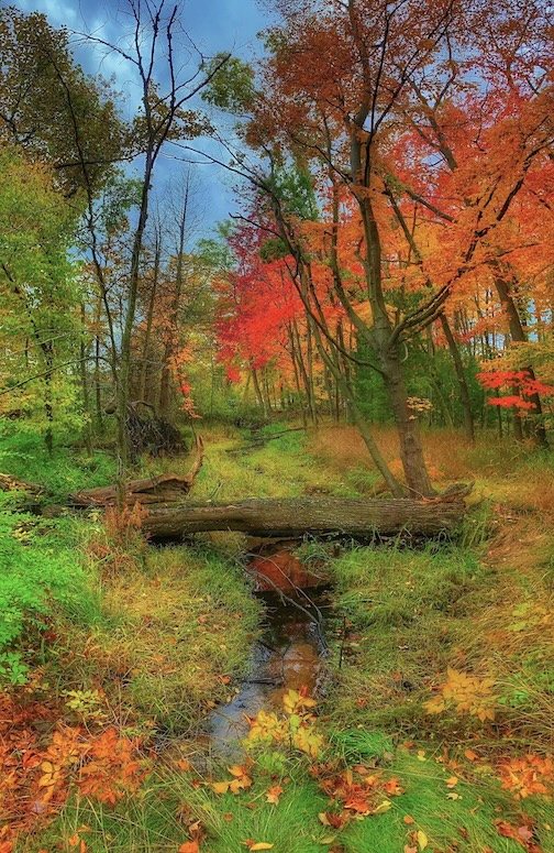 Nice color in P.J. Hoffmaster State Park, Mich by Jeremy church.