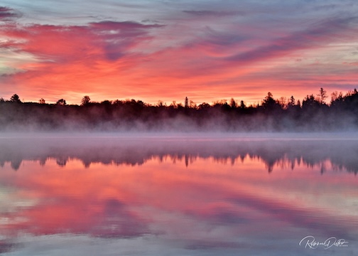 Not a painting. A little steam and soft colors by Roxanne Distad.