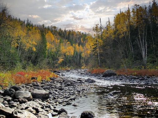 October along the Black River in Northern Wisconsin by Carl Anderson.