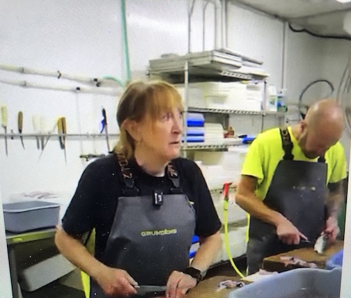 Shele Tofte talks about starting Dockside fish Marke in this fun video.