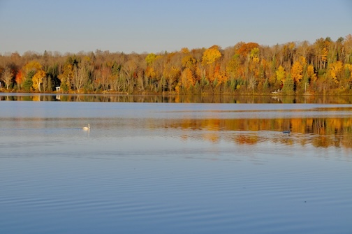 Still hanging out by Sandra Updyke.
