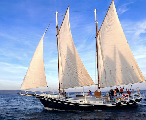 The sails of the Hjordis are reflected on Matt Nesheim's schooner Charlie as they pass each other. Photo by Layne Iennedy.