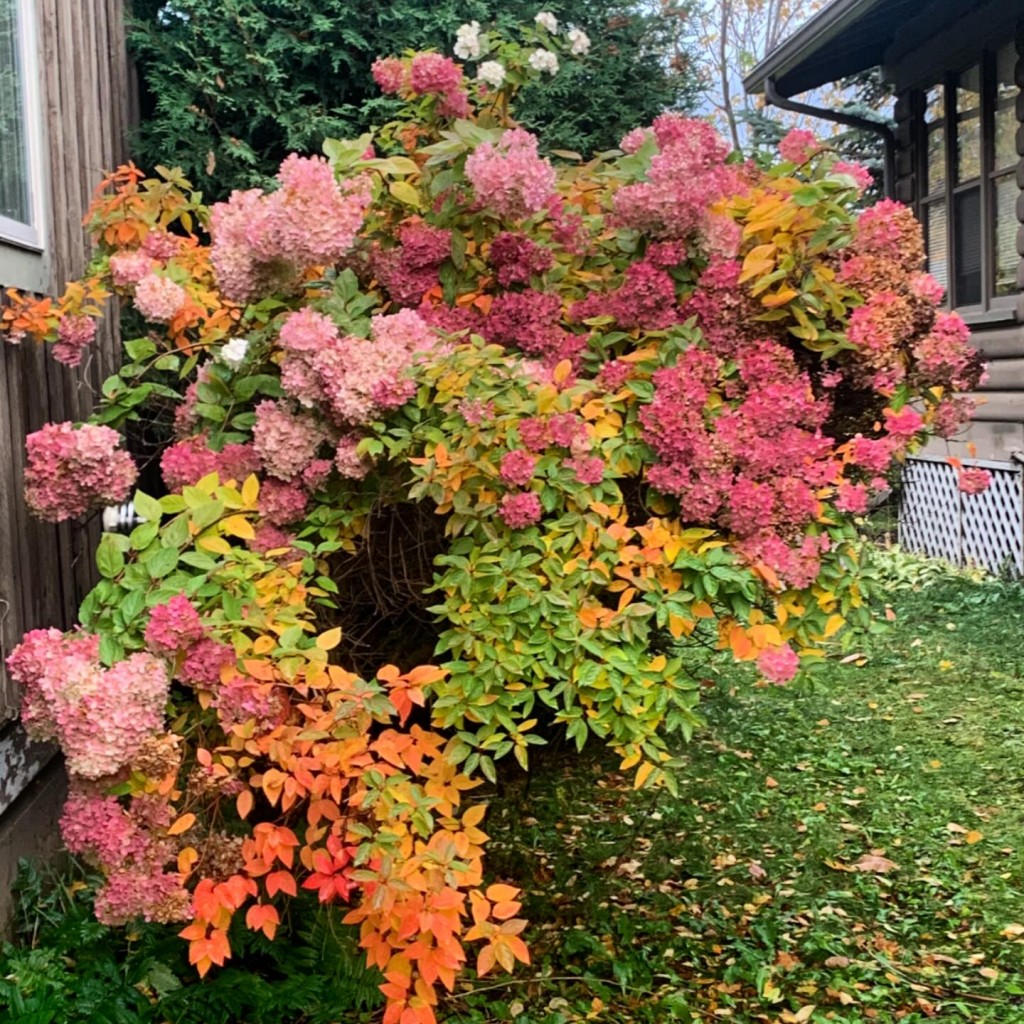 This just keeps getting prettier and prettier by Sierra Parsons.