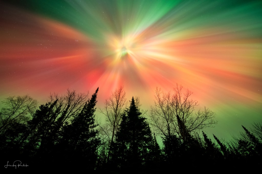 Nov. 11 by Lindsey Ruhnke.