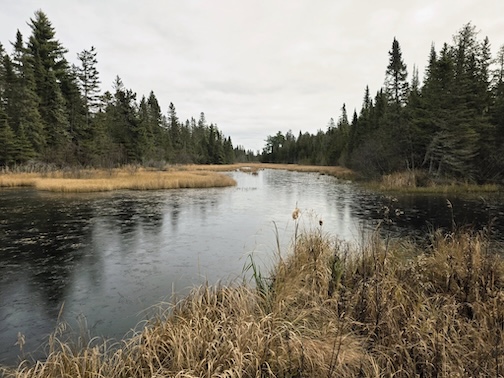 Skim ice by Cathy Quinn.