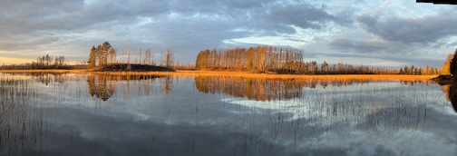 The sun over the lake and wild rice. by Michael Furtman.