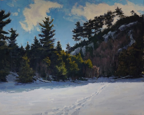 Looking for the Moss Lake Portage, oil, on display at the Minnesota Landscape Arboretum by Neil Sherman.