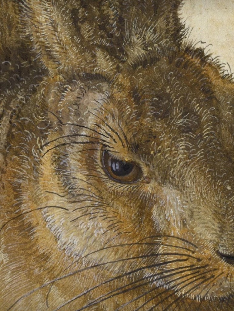 Rabbit, Rabbit by Charles Conroy.