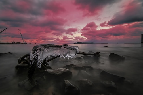 Sparkling shoreline by Chris Artist.