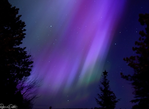 Northern Lights by Roxanne Distad.