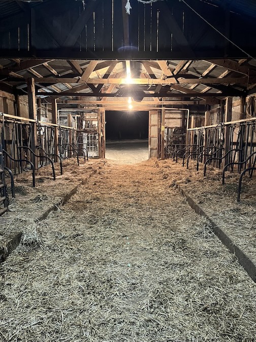 stormy outside, cozyinside by the Lake View Natural Dary.