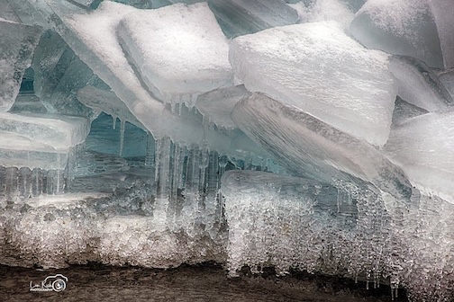 A story of winter by Lisa Rich.