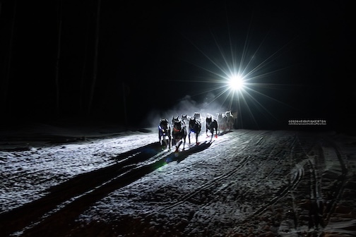 Beargreae after dark feels different by Heidi Pinkerton.