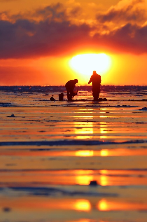 Early birds get the worm, and the fish, by Tim Beaulier.