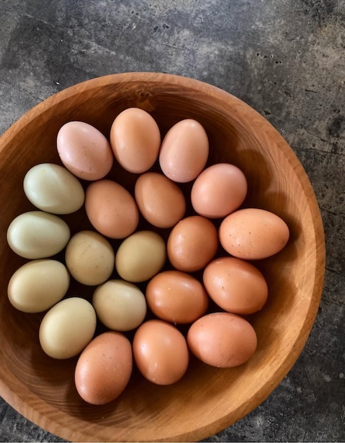 I think the girls got the memo, by Jesse Furo Pearson.