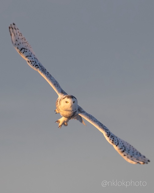 In Minneota 1 by Nathan Klok.