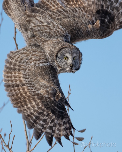 In Minnesota 2 by Nathan Klok.