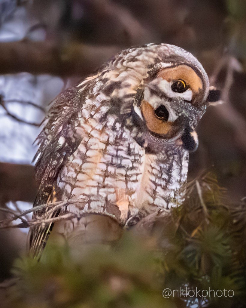 In Minnesota 3 by Nathan Klok.