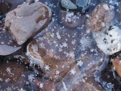 Snowflakes and ice by Jill Beim.