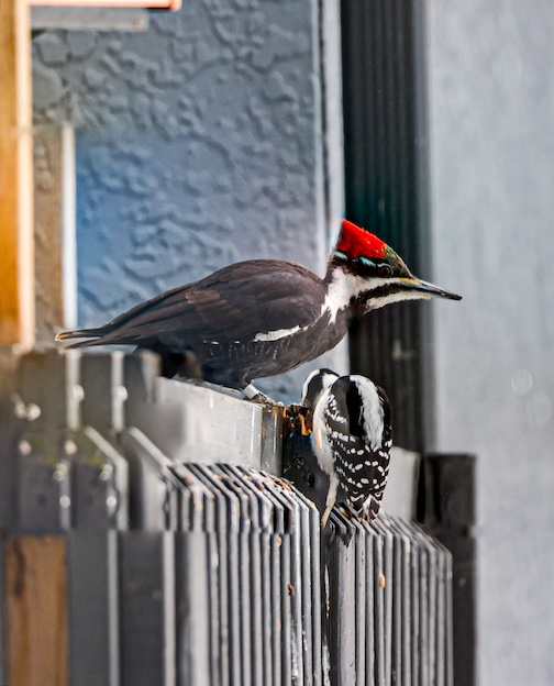 A popular place to hand out by Chris Artist.