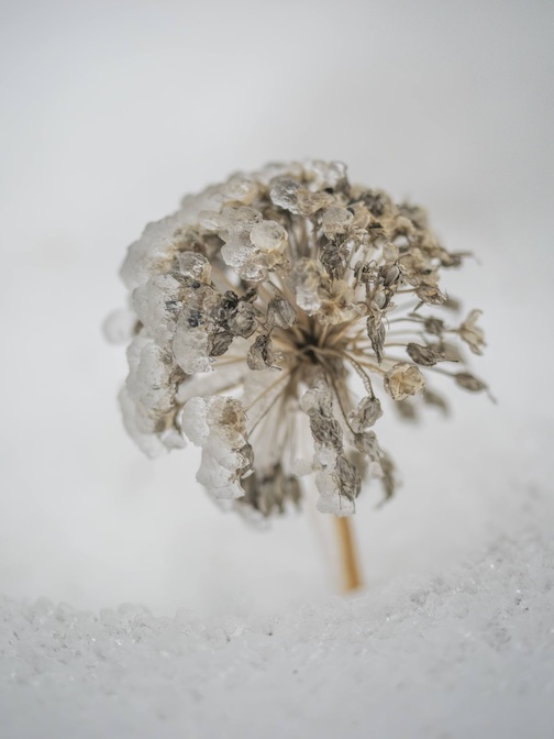 A winter coating by Jill Lorvro Beim.