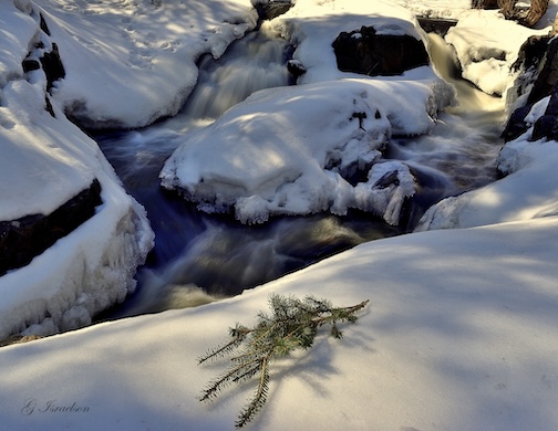 Chasing Spring by Gregory Israelson.