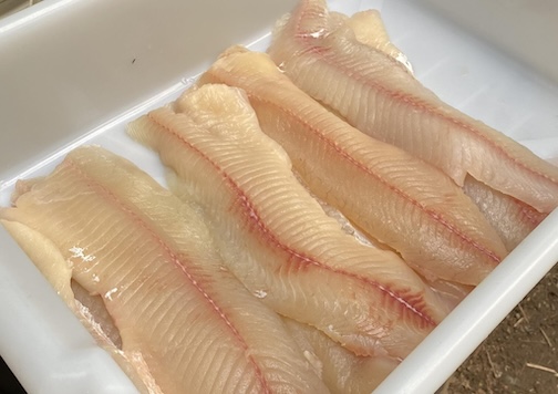 Fresh filet o' fish, courtesy of Gunflint Pines Resort.