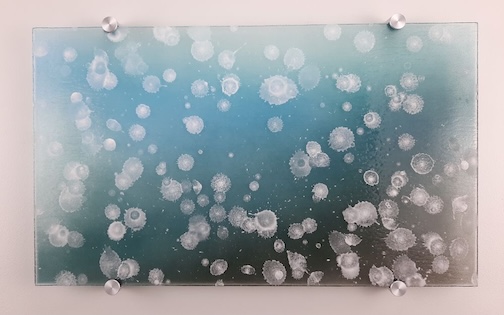 Good morning from here. Flurries, fused glass by Nancy Seaton.