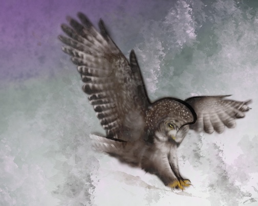 Great Grey, Sumi based Illustration, :Digital (No AI) by Kim Dayon.