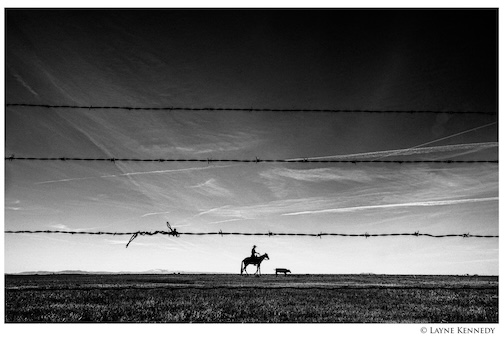 On the California:Oregon border by Layne Kennedy.