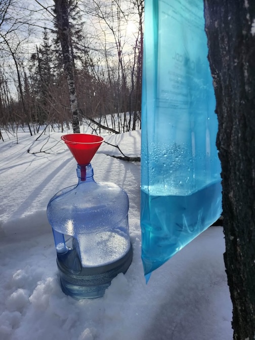 One little drop at a time by Cathy Quinn.