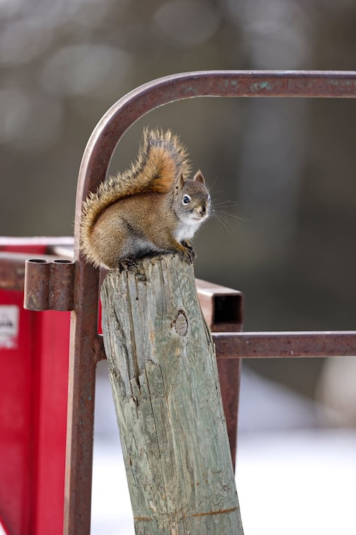 Please check out this post by Chris Artist.