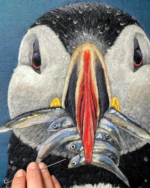 Puffin, detail, wool, by Dani Ives.