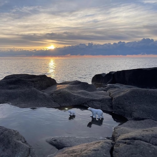 Ron Benson likes to create tableaus,