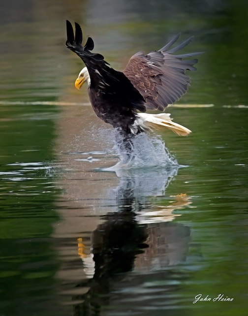 Take out luinch by John Heino.