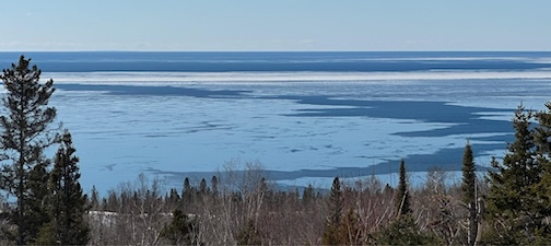Blues and whites of early spring by Maryl Skinner.