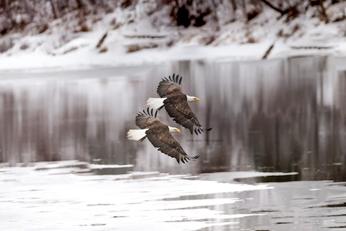 'Tis the season by Chris Artist.