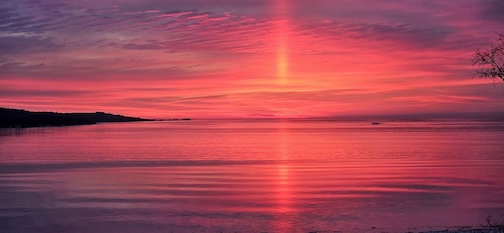 What do you say we share this planet?by Andy Keith.