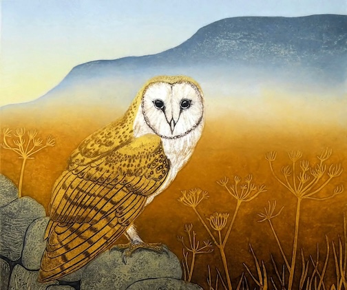 barn owl ~ golden, hour 3 plate collograph, by Hester Cox.
