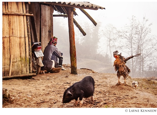 Morning in Vietnam by Layne Kennedy.