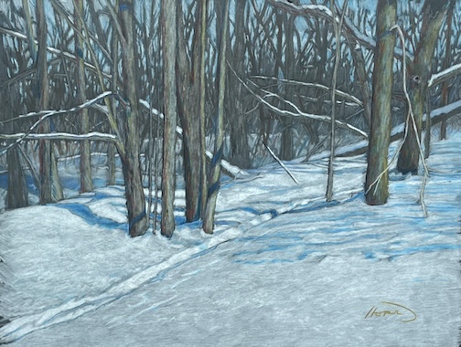 A path into the Woods, colored pencil by James Harold.