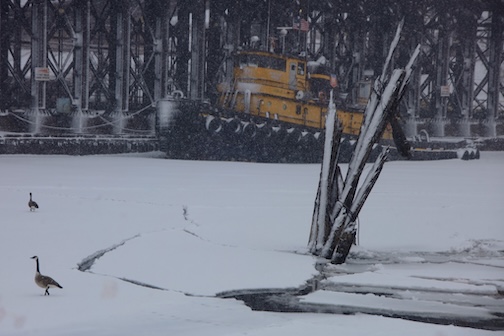 A spring snow by Matthew Pastick.