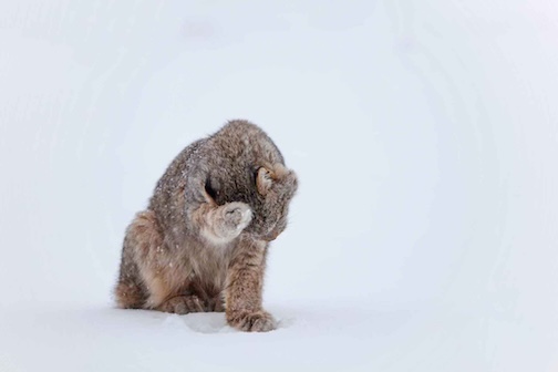 Washing Up by Chris Artist.