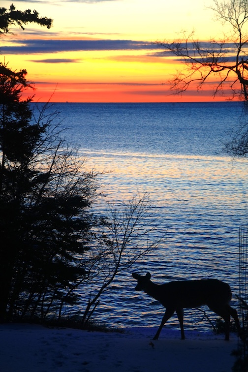 Easter morning by Matthew Pastick.