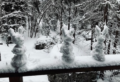 Happy Easter by Lee and Dan Ross.