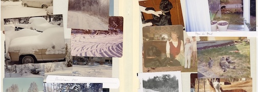 House holding, an installation by Sophia Bartholomew, is currently on view at the Thunder Bay Art Gallery