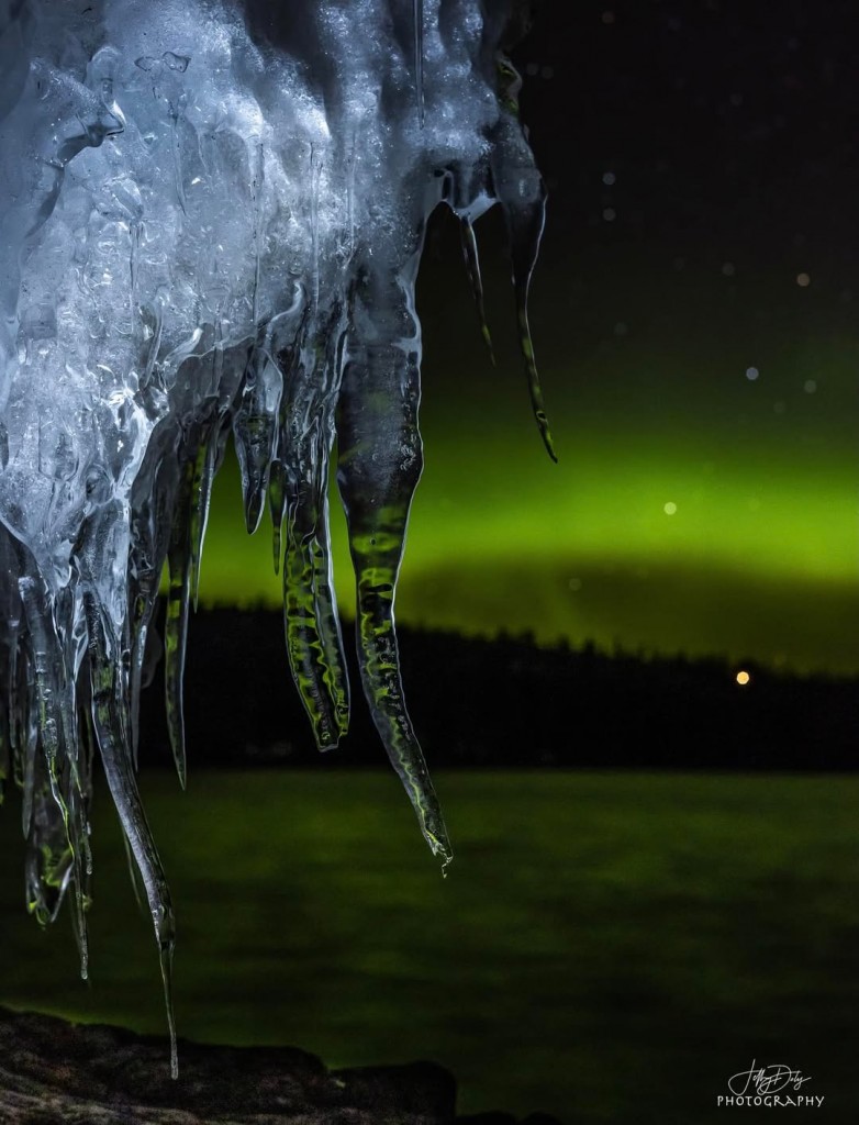 I miss these times by Jeffrey Doty.